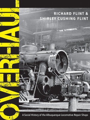 cover image of Overhaul